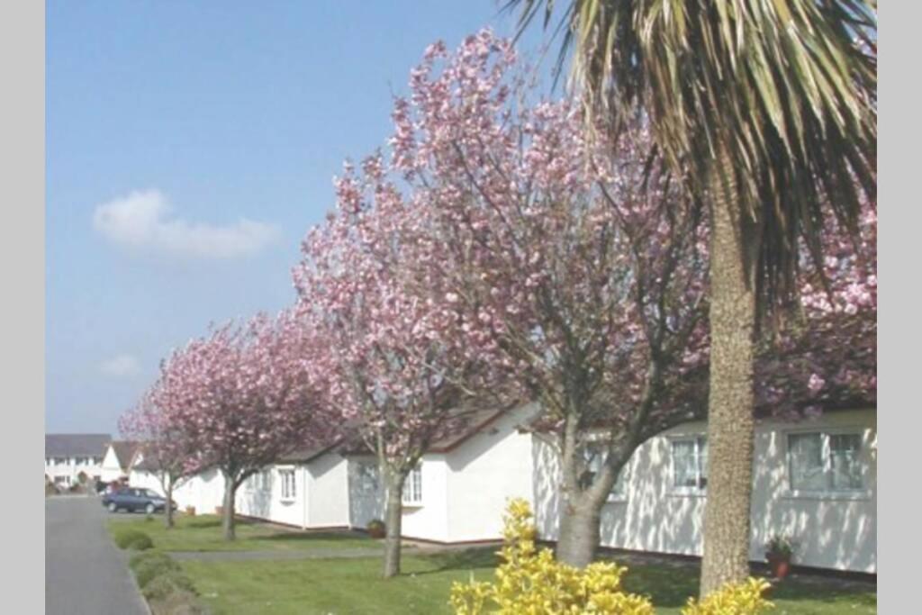 Perfect For The Family And Beaches - Gower Cwtch Villa Swansea Exterior foto